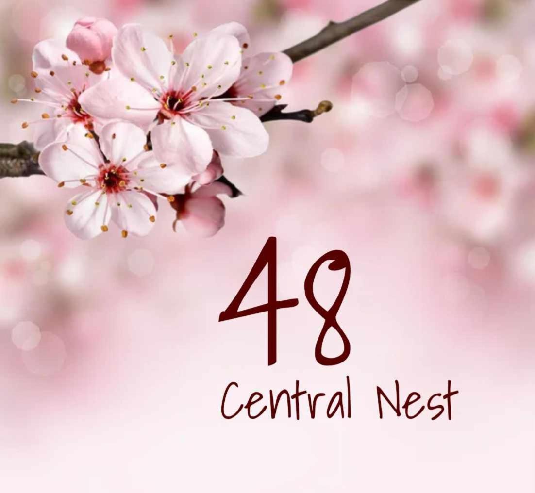 48 Central Nest Volos Bagian luar foto